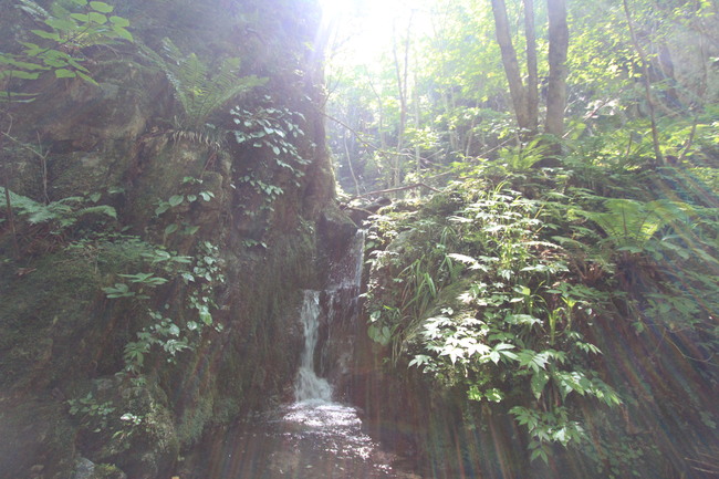 e0024081_20571519.jpg