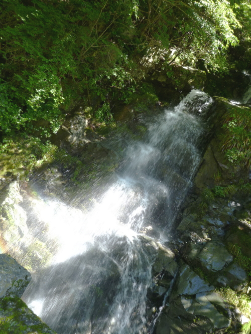 d0179983_17423949.jpg