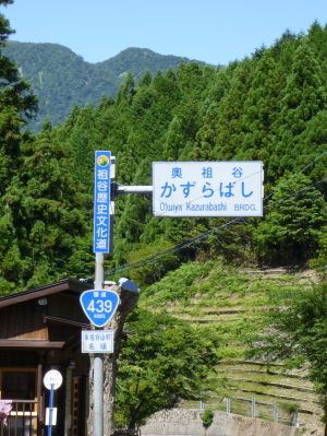 d0179983_1743459.jpg