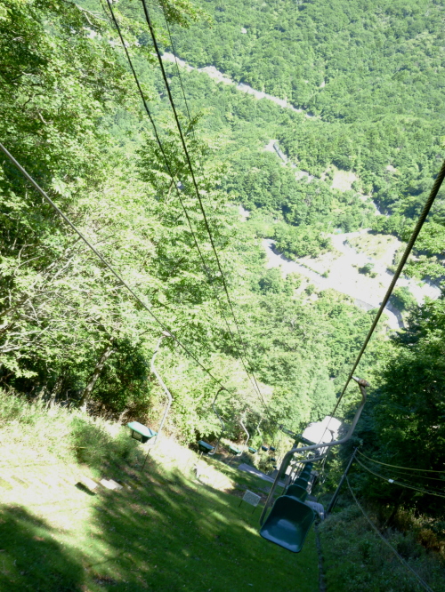 d0179983_1744228.jpg