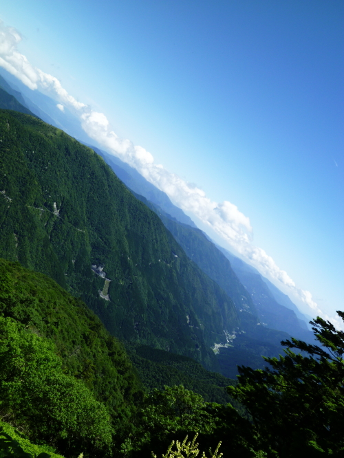 d0179983_18321866.jpg