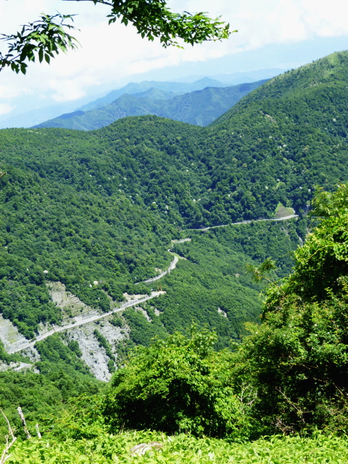 d0179983_1832923.jpg