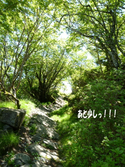 d0179983_18385459.jpg