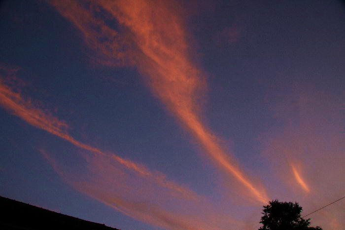 b0171185_20471664.jpg