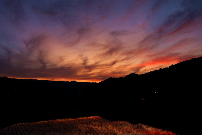 b0171185_210673.jpg