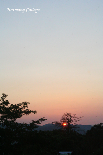 a0116490_11211726.jpg