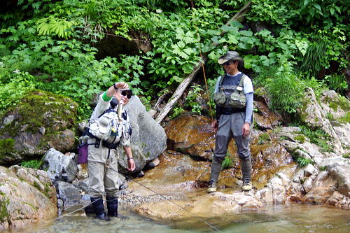 f0141392_21382217.jpg