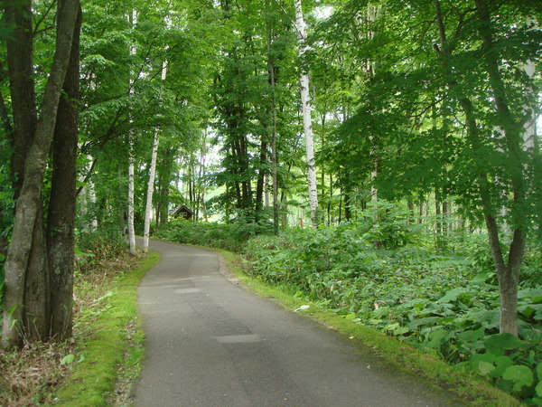 e0111793_12564283.jpg