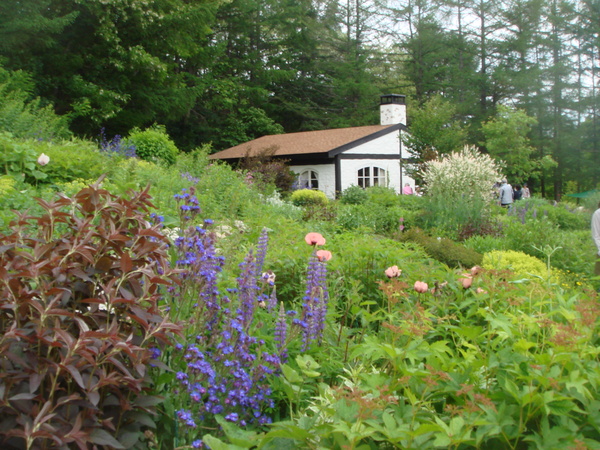 e0111793_132156.jpg