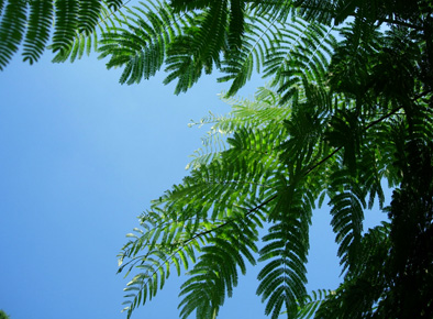 d0129295_9355313.jpg