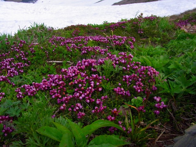 f0157901_2202825.jpg