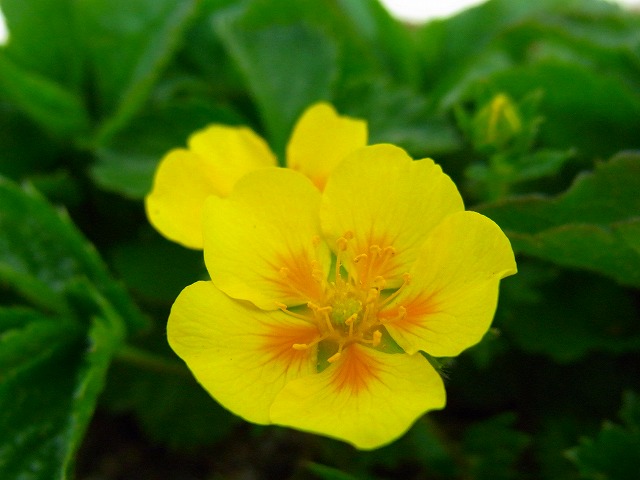 f0157901_221590.jpg