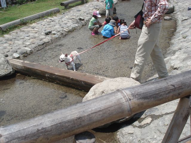 b0148106_714469.jpg