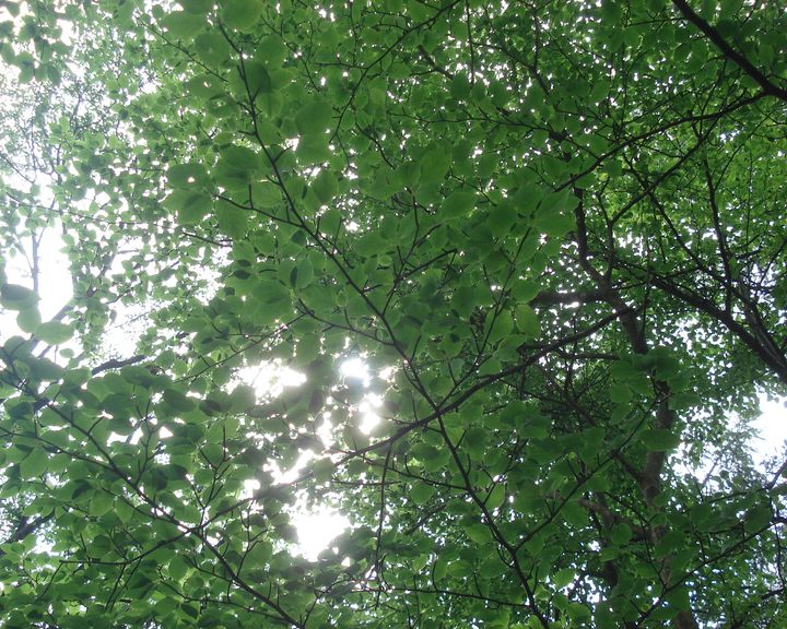 b0148106_839532.jpg