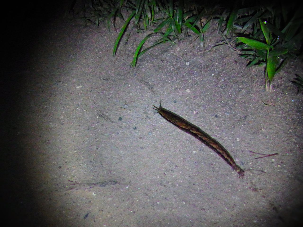 b0183911_2134129.jpg