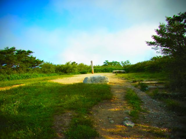 b0183911_2134372.jpg