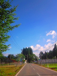 f0100911_19155331.jpg