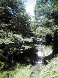 b0042512_232391.jpg