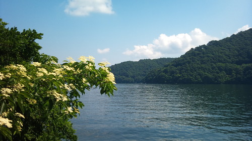 d0163916_1812440.jpg