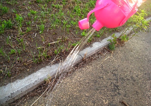 c0084117_14324184.jpg