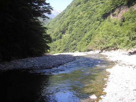 d0168318_21361528.jpg