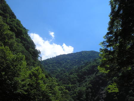 d0168318_2145142.jpg