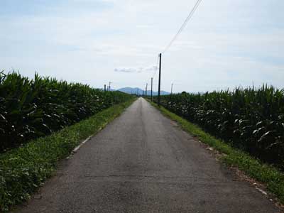 c0103119_13295199.jpg