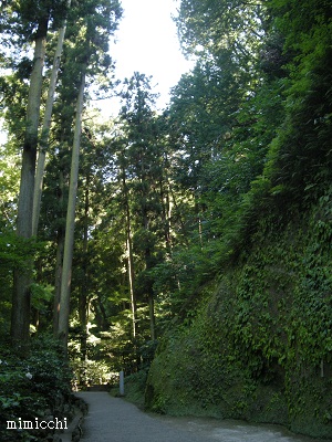 a0213620_863069.jpg