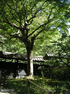 a0213620_87143.jpg