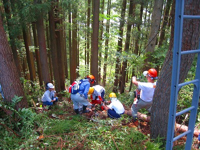 e0002820_6123926.jpg