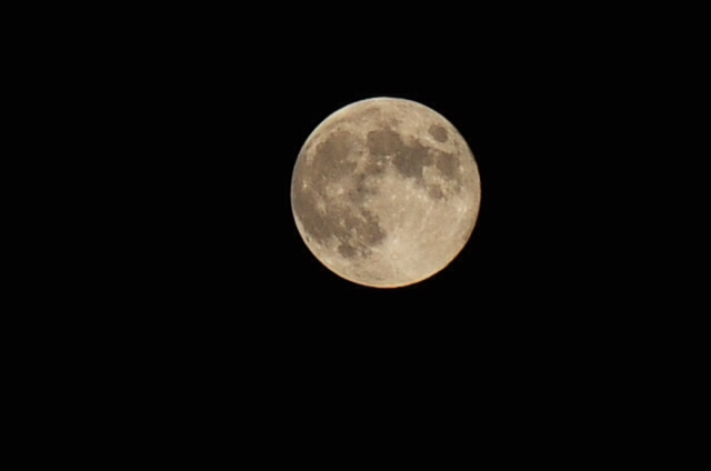 f0229926_12213069.jpg
