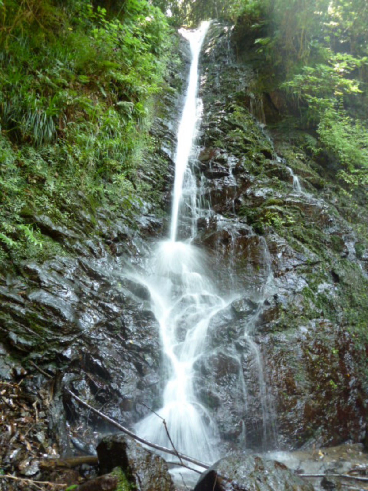 e0033229_1945471.jpg