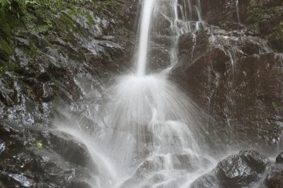 e0033229_2156062.gif
