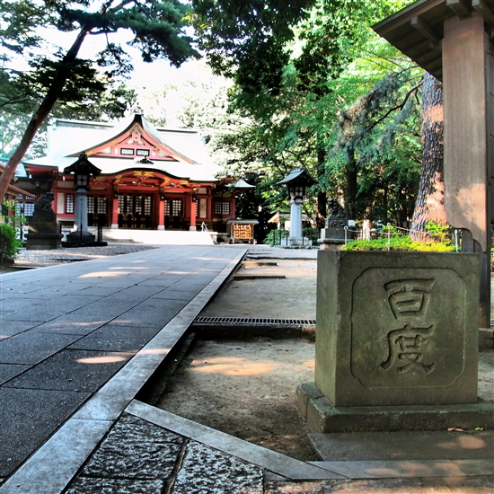 b0169630_16421764.jpg
