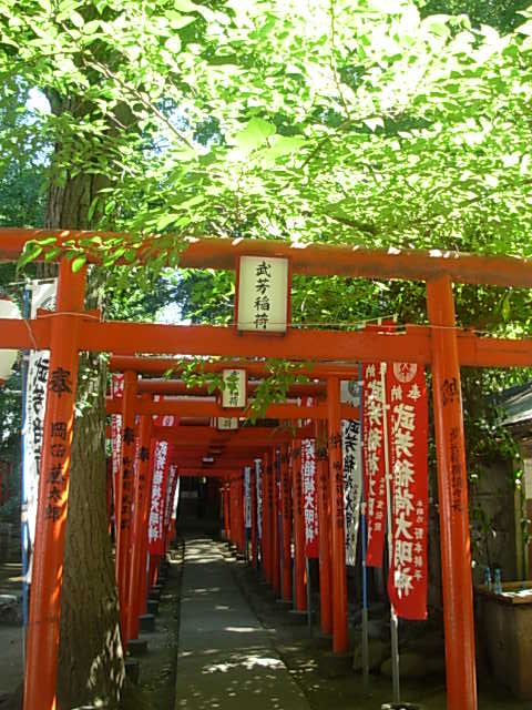 b0185330_2226364.jpg