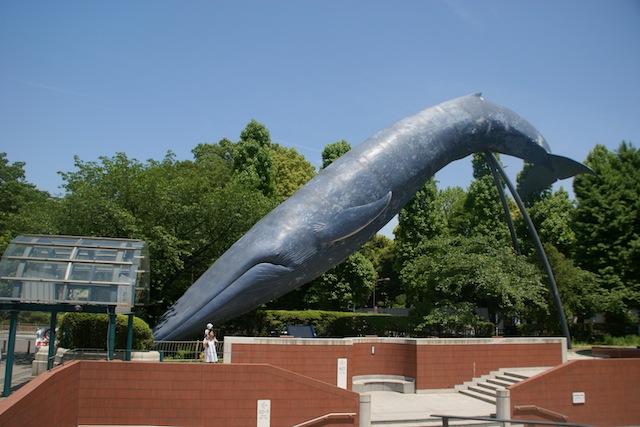 c0199431_024085.jpg