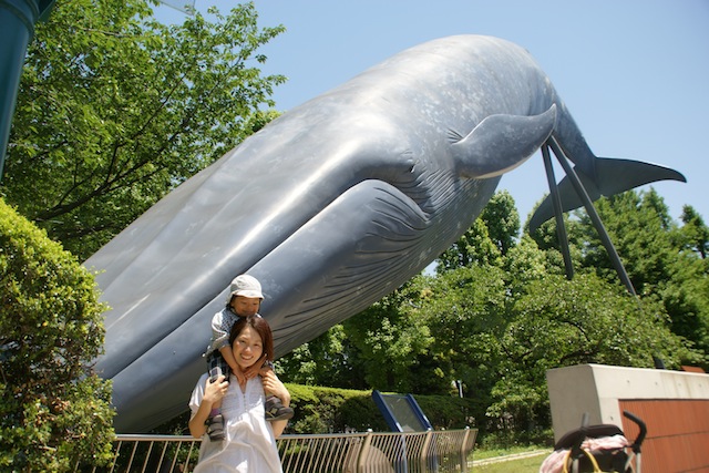 c0199431_0243055.jpg