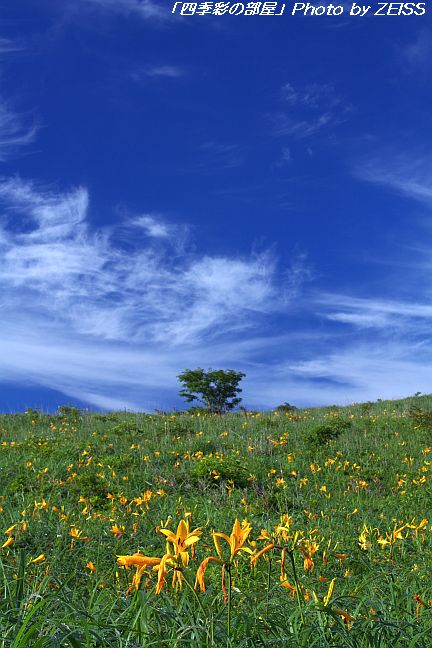 a0195032_22251359.jpg