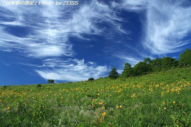 a0195032_22252818.jpg