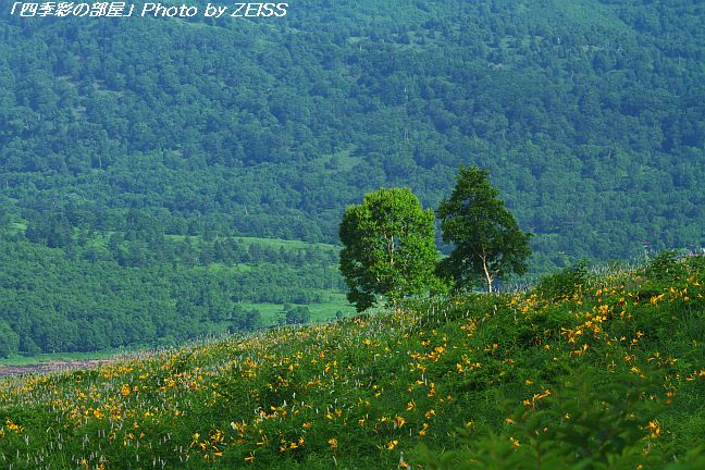 a0195032_22255254.jpg
