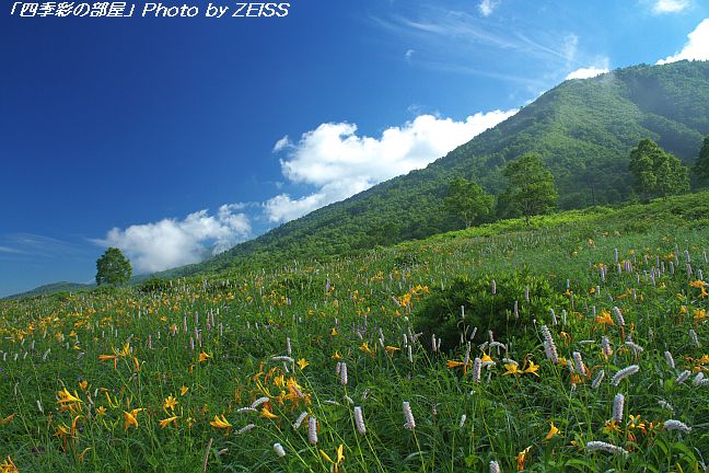 a0195032_2226678.jpg