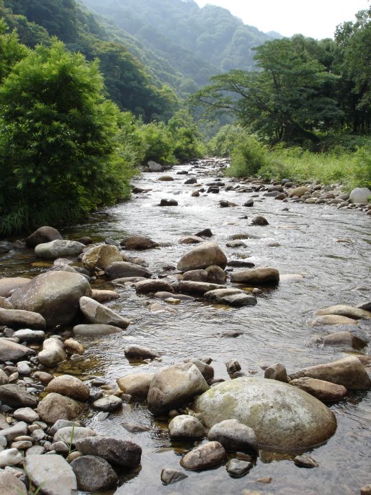 c0133133_020108.jpg
