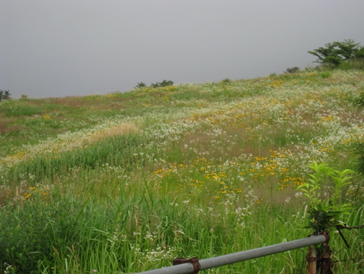 c0077338_21504990.jpg