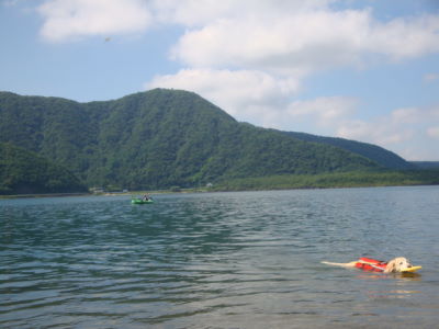 e0158841_16302462.jpg