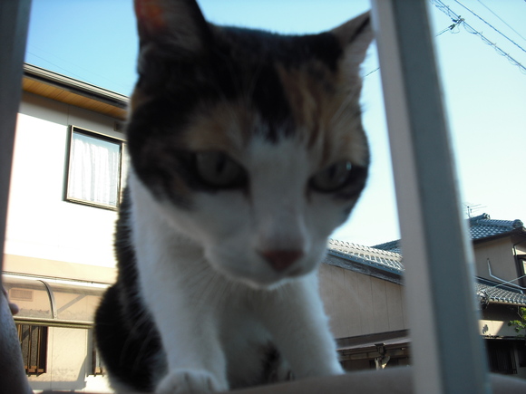 c0194042_214376.jpg