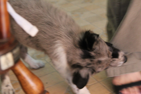 c0035443_1353922.jpg