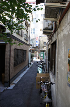 a0134245_1140281.jpg
