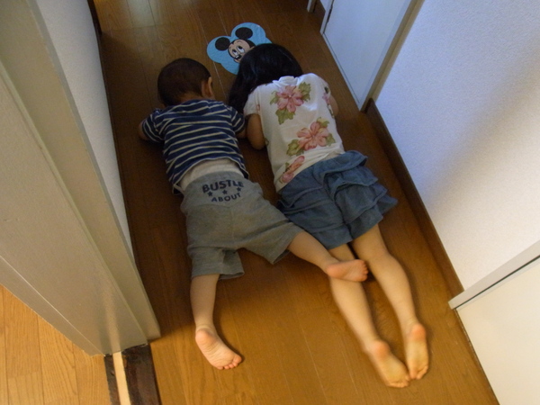 a0175545_1511138.jpg