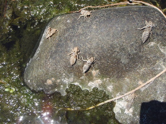 e0202845_1457109.jpg