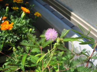 c0117051_15501883.jpg
